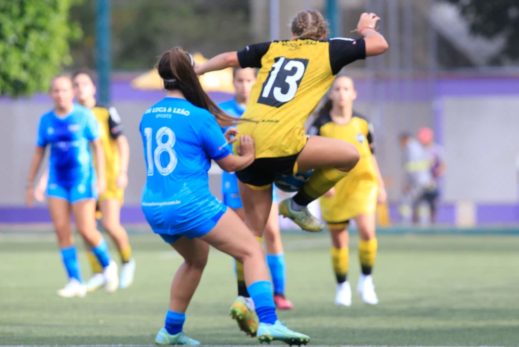 oquesaoasseletivas dll abril2026 blog04 1x